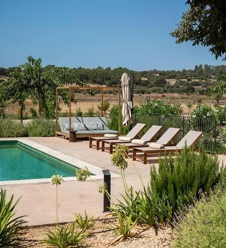 La Casa De Los Grandes Brand New 5Br Finca With Pool