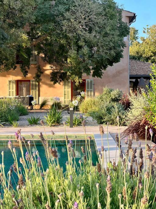 Villa La Casa De Grandes Brand New 5br With Pool